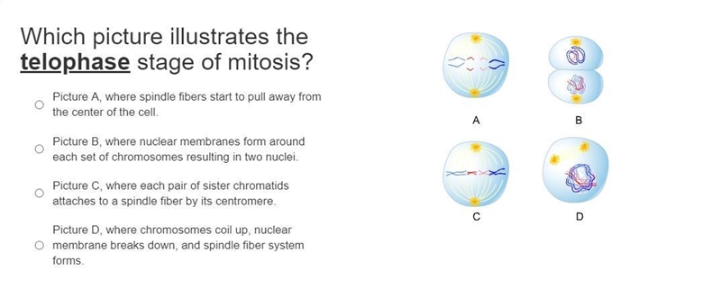 Hard question help me please :I-example-1