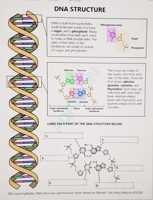 LABEL EACH PART OF THE DNA STRUCTURE BELOW: 1. 2. 3. 4. 5. 6. PLEASE HELP!!​-example-1