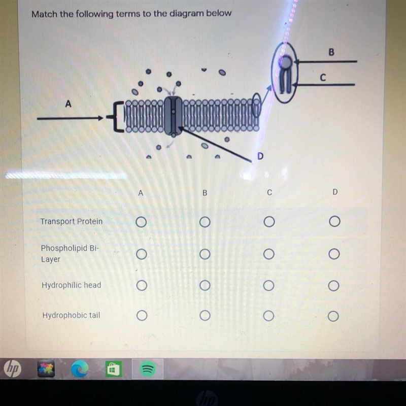 PLEASE HELP ME WITH THIS QUESTION-example-1