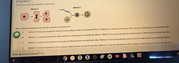 Timed! Which statement best describes the two methods of reproduction (30 points!) (picture-example-1