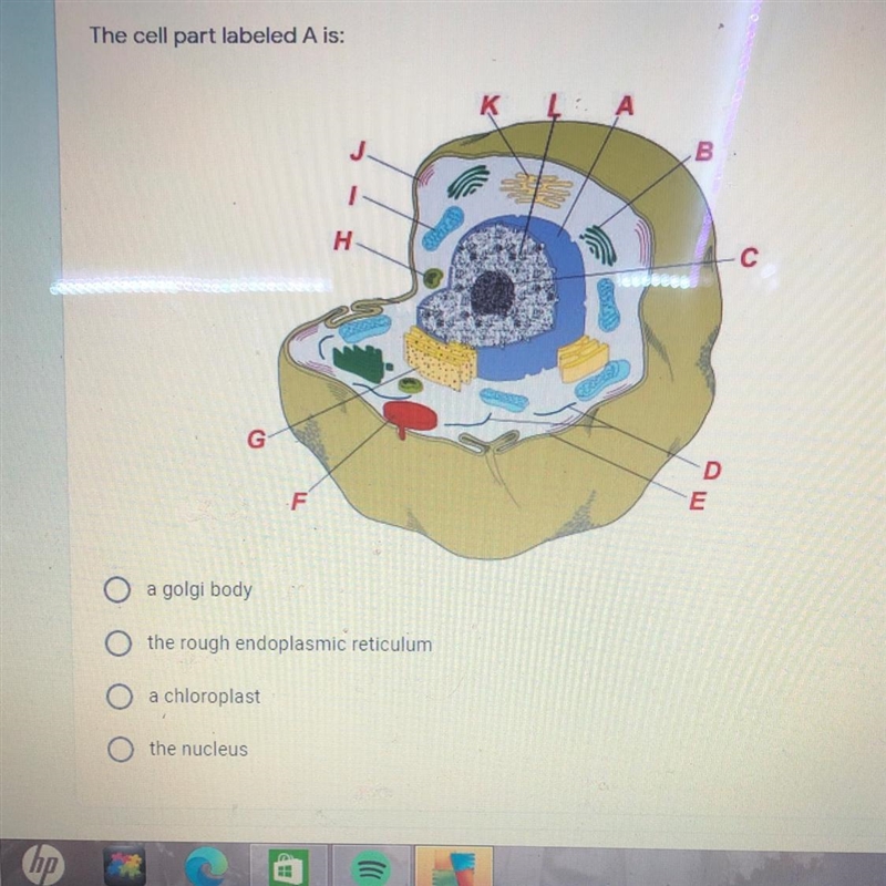 Please help me with this question:)-example-1