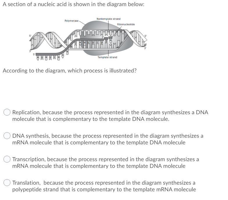 Help please its timed-example-1