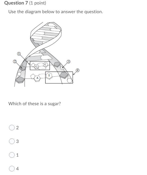 Help please its timed-example-2