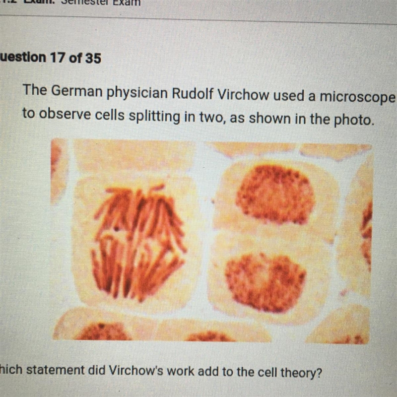 Which statement did Virchow's work add to the cell theory? A. Cells contain genetic-example-1