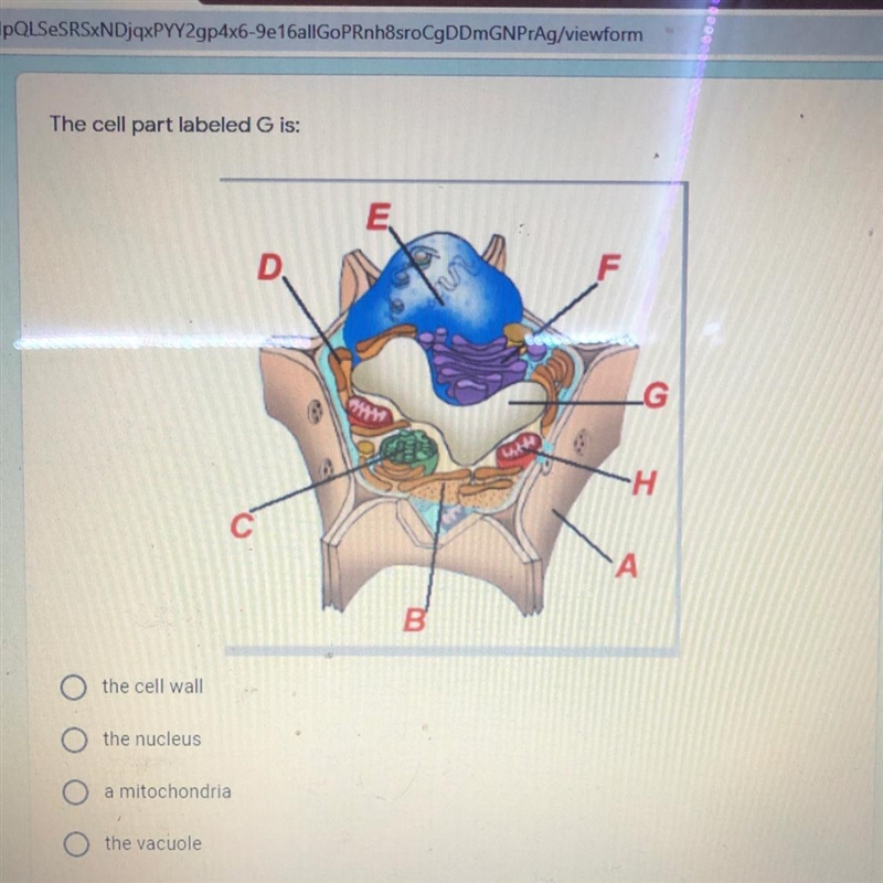 Please help me with this question:)-example-1