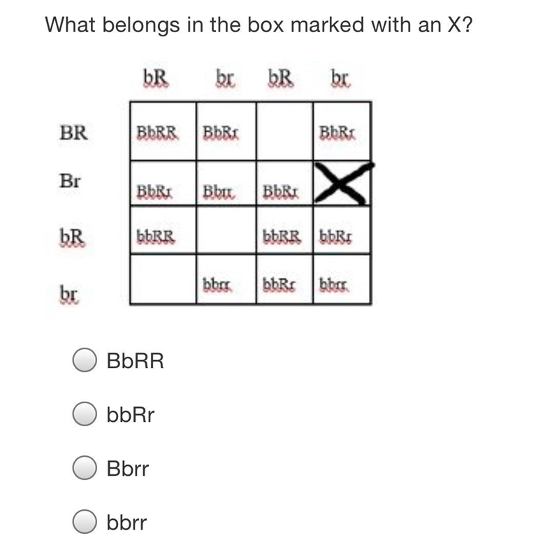 What belongs in the x box marked with an X?-example-1