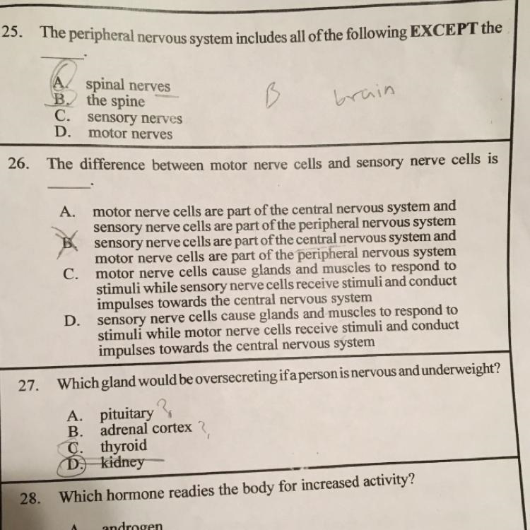 I just need help on 25,26,28 asap-example-1