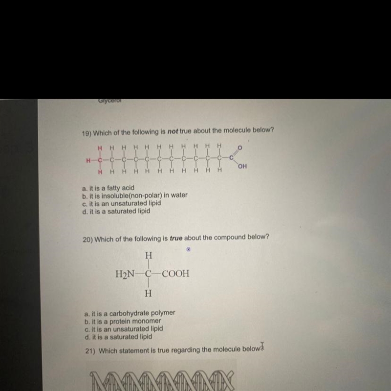 Chapter 3 Biology test-example-1