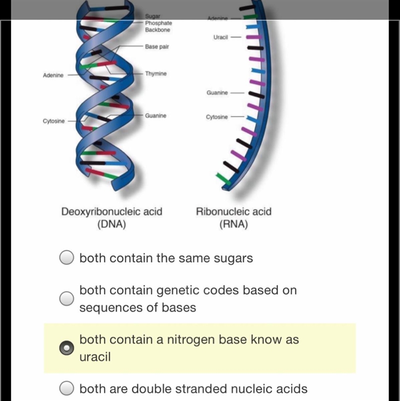 One similarity between DNA and mRNA is that they both ..... pls help !!!-example-1