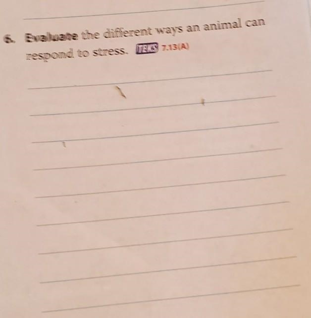 6. Evaluate the different ways an animal can respond to stress.​-example-1