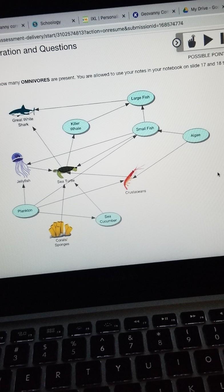 Using the food web below determine how many omnivores are present.​-example-1