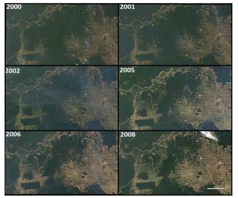 The maps below represent the same area of the Amazon rainforest over an 8-year period-example-1