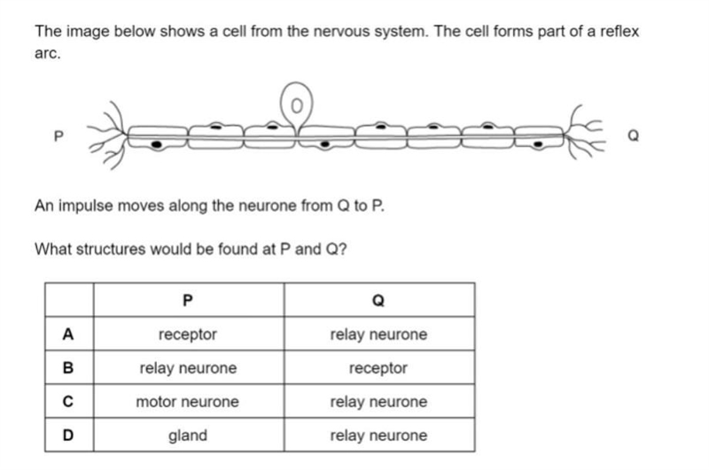 Please help me please help me ​-example-1