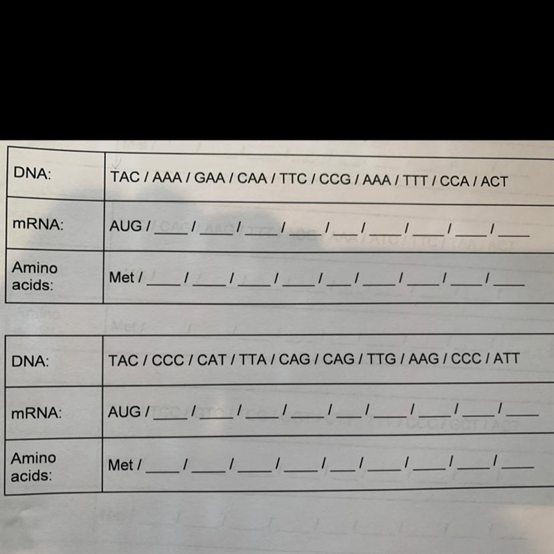 Please help!!!!! Can you please help with the first box in the picture.-example-1