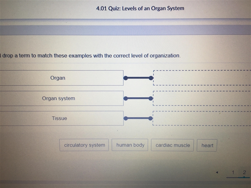 Which one goes where?-example-1