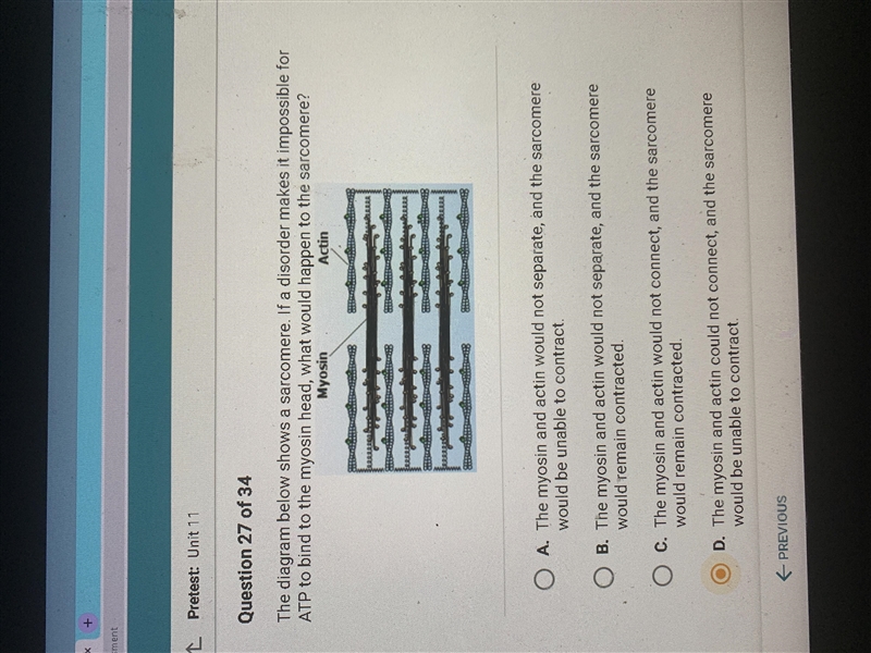 the diagram below shows a sarcomere if a disorder makes it impossible for atp to bind-example-1