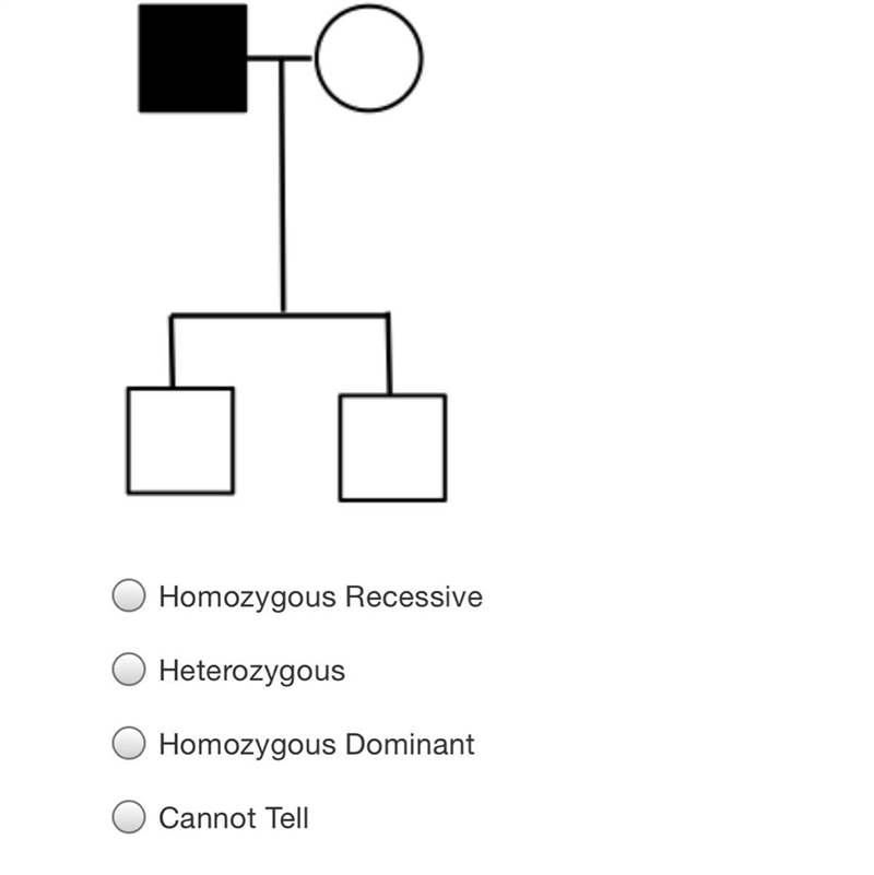 If shaded symbols indicate having a dominant trait, what must be the genotype of the-example-1