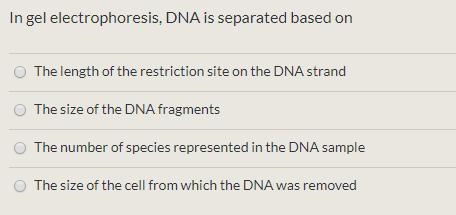 Bio questions about Biotechnology. (2)-example-1