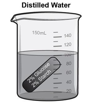 An experiment was conducted to demonstrate the passage of glucose and starch across-example-1