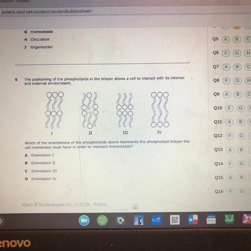 Can someone help me plz-example-1