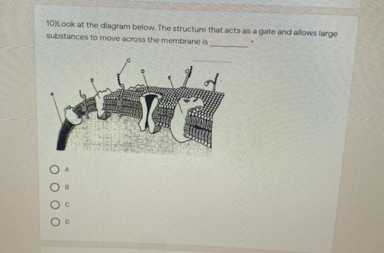 Wasn’t sure was this answer was anyone know? extra points to the right answer (:-example-1