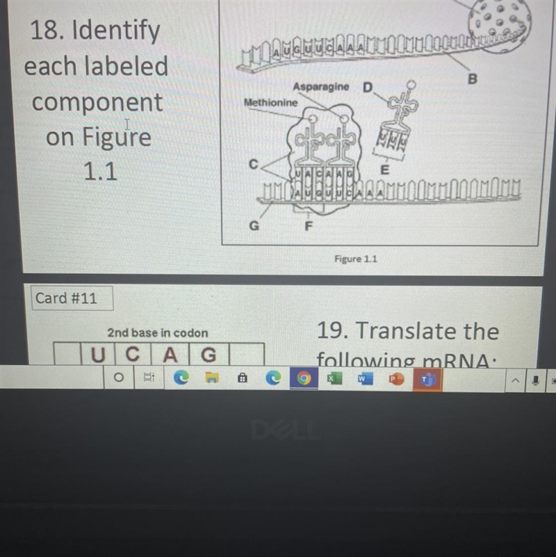 Can someone help me identify this? plss i need this for a grade-example-1