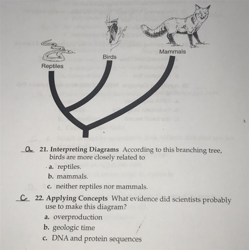 I just need to know if #21 & 22 are correct :)-example-1