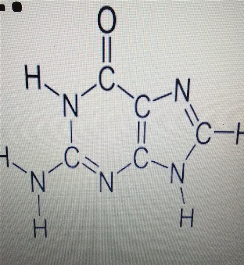 What compound is this? Carbohydrates Lipids Nucleic Acids Proteins ​-example-1