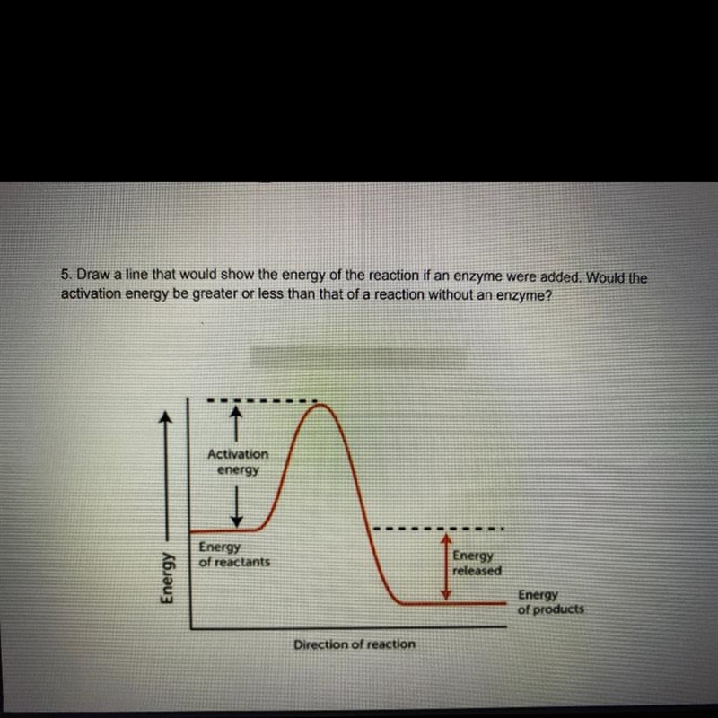 Draw a line that would show the energy of the reaction if an enzyme were added. Would-example-1