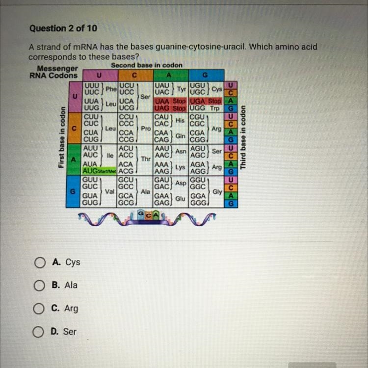 UAC) JUGC Cys CGC A strand of mRNA has the bases guanine-cytosine-uracil. Which amino-example-1