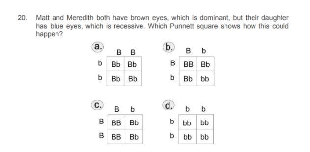 Help me please :( punnett squares-example-2