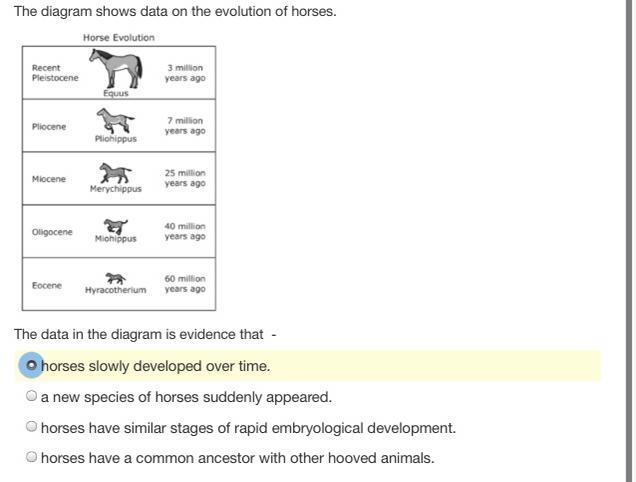 I need help with this-example-1