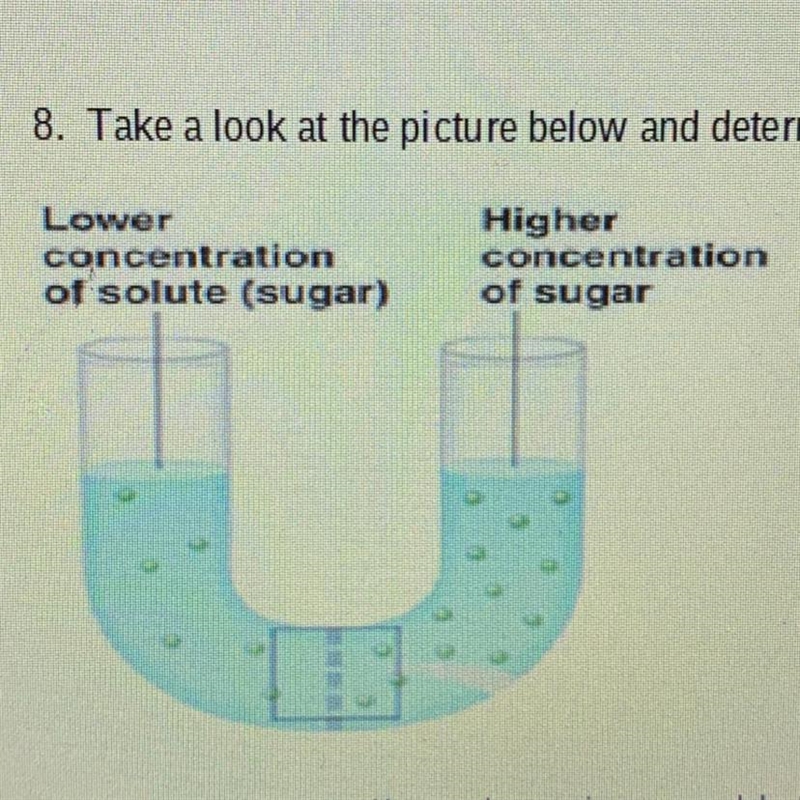 Take a look at the picture below and determine which way the water will move. Explain-example-1