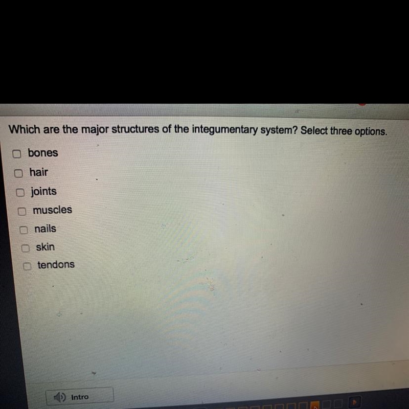 What are the major structures of the integumentary system? select three options. (view-example-1