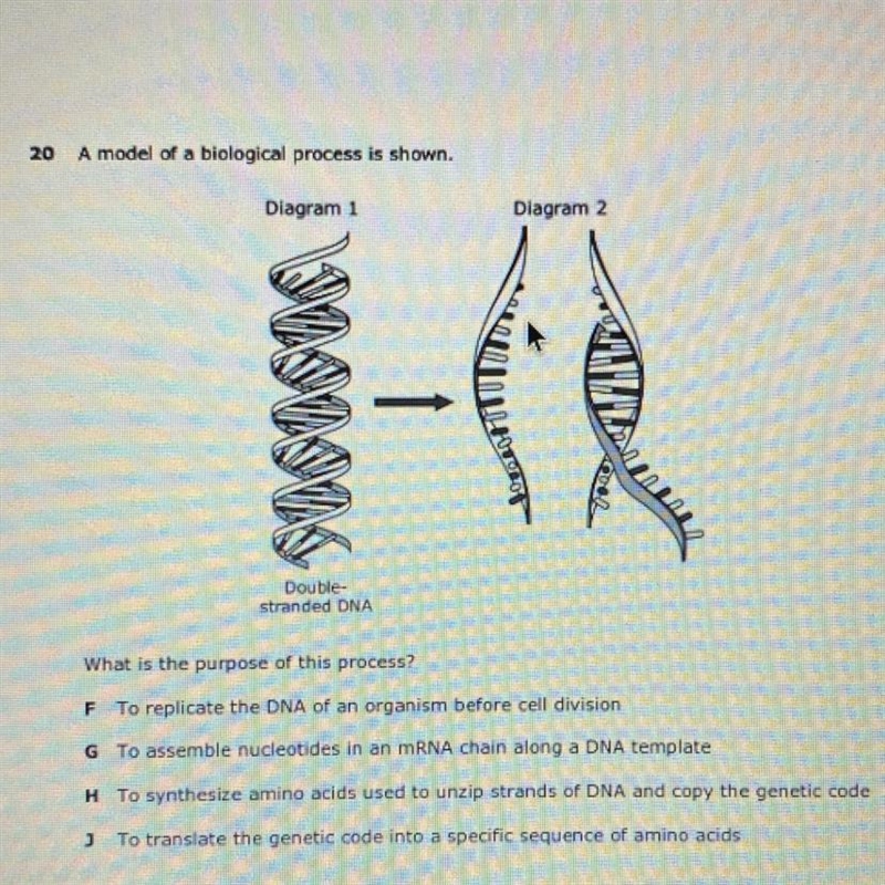 What is the purpose of this process???-example-1