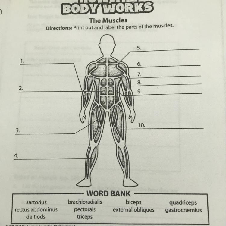 Please help! It’s due today and I suck at biology.-example-1