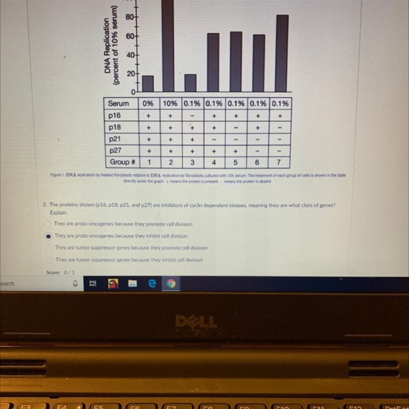 I need help it’s from pivot ignore the answer choice that I put On top of 80 is 100 btw-example-1