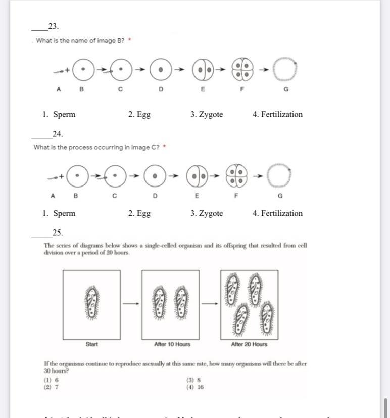 Answer all of them please ty-example-1