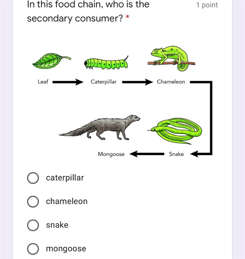 Can anyone help with this question for me-example-1