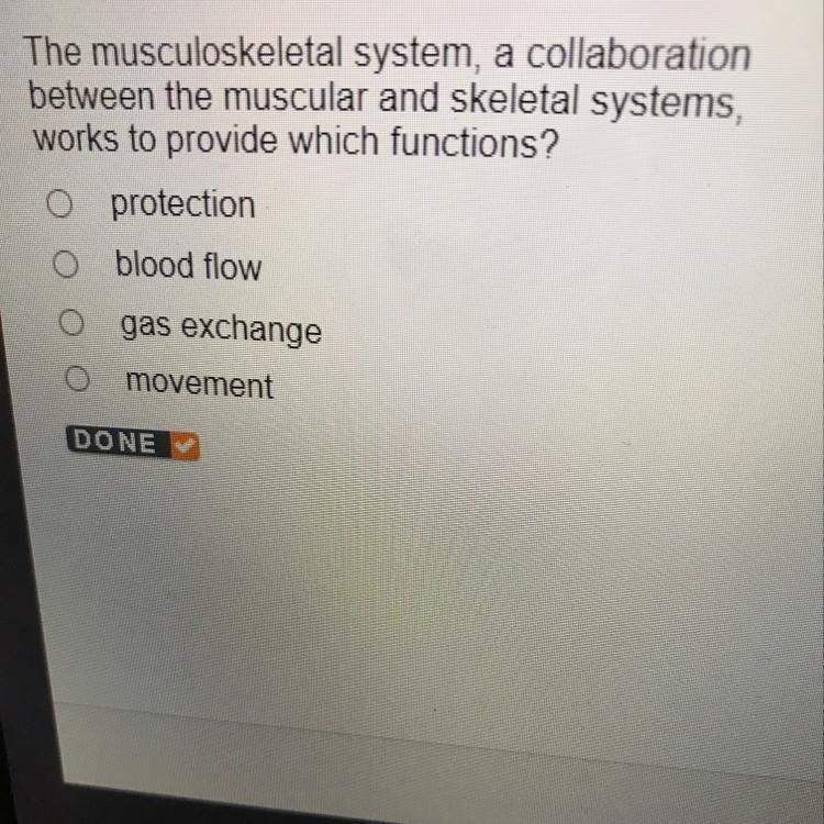 The musculoskeletal system, a collaboration between the muscular and skeletal systems-example-1