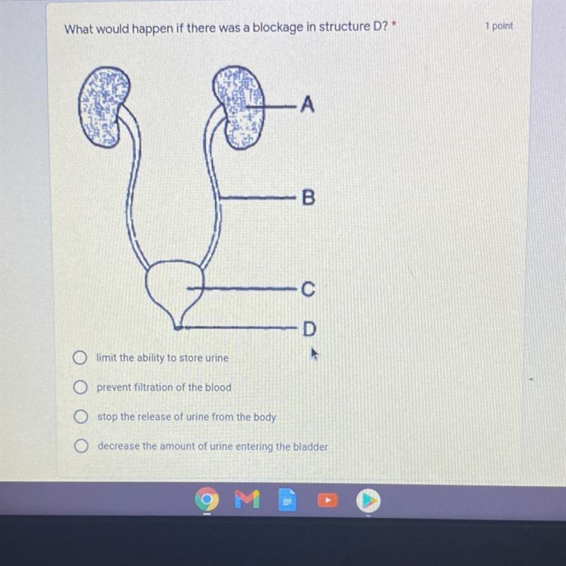 What would happen if there’s a blockage in the urethra? aka structure D-example-1