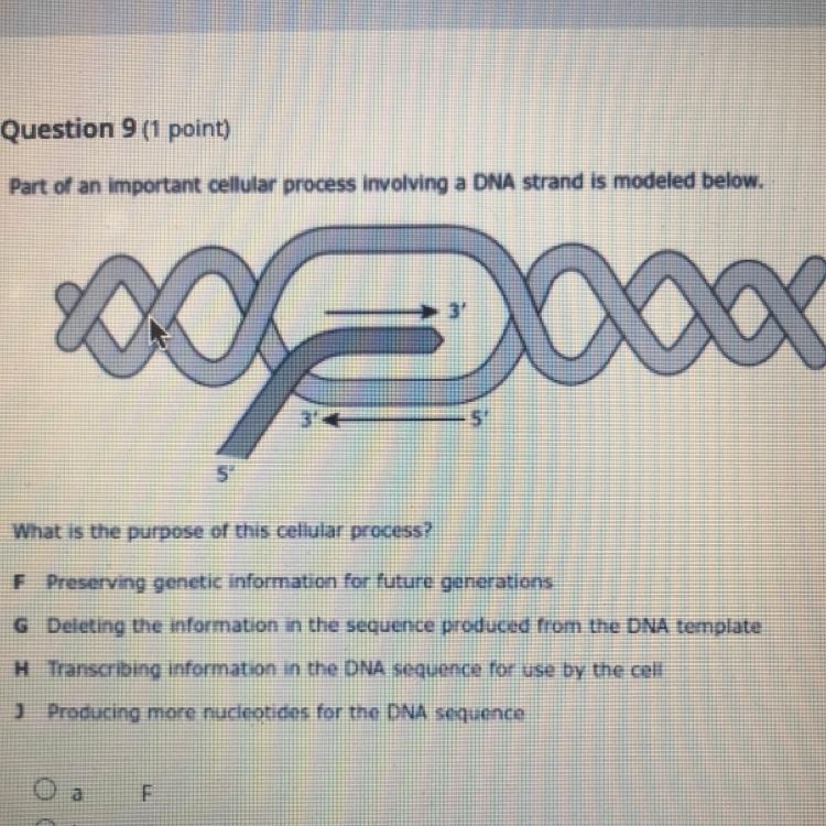 What is the purpose of the cellular process-example-1