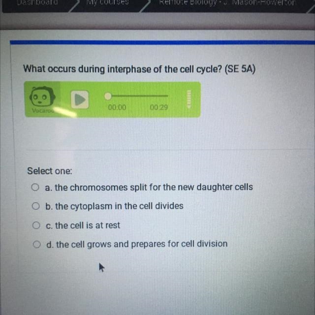 What occurs during interphase of the cell cycle?-example-1