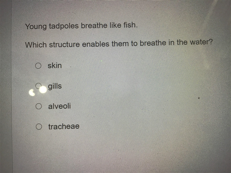 I need help there just tadpoles-example-1