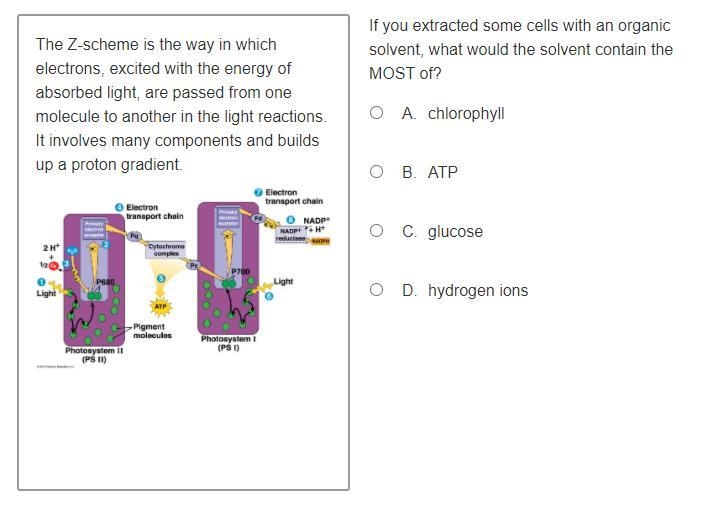 The Z-scheme is the way in which electrons, excited with the energy of absorbed light-example-1