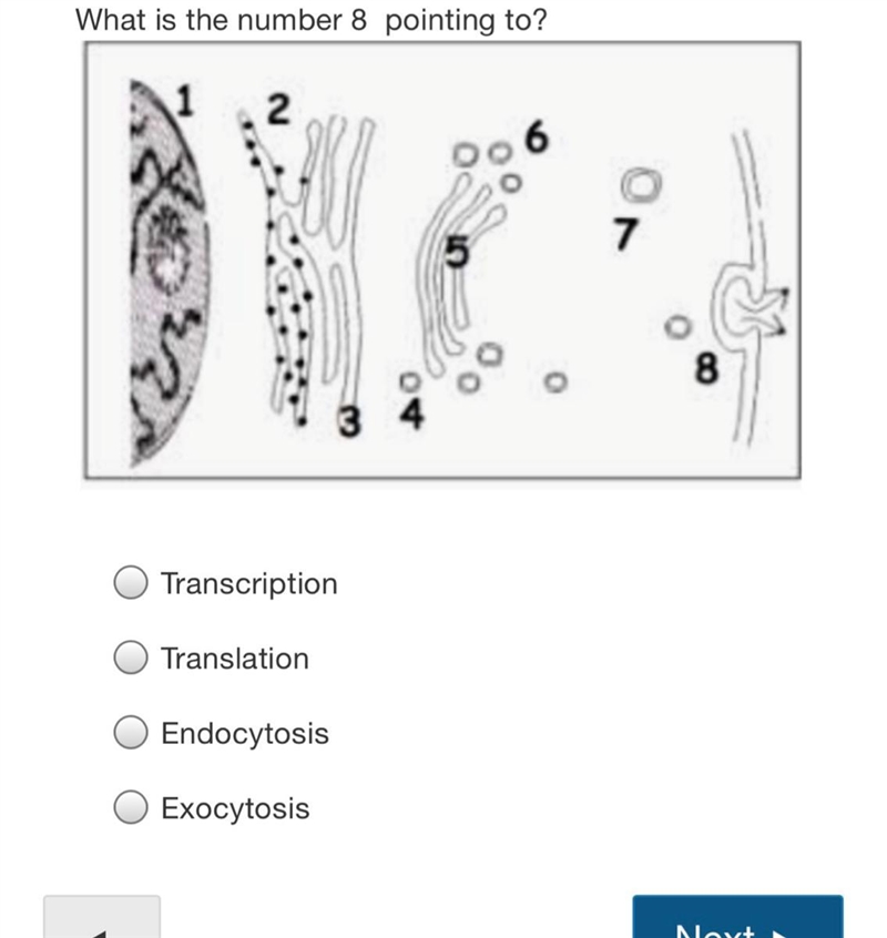 What’s the answer pls help-example-1