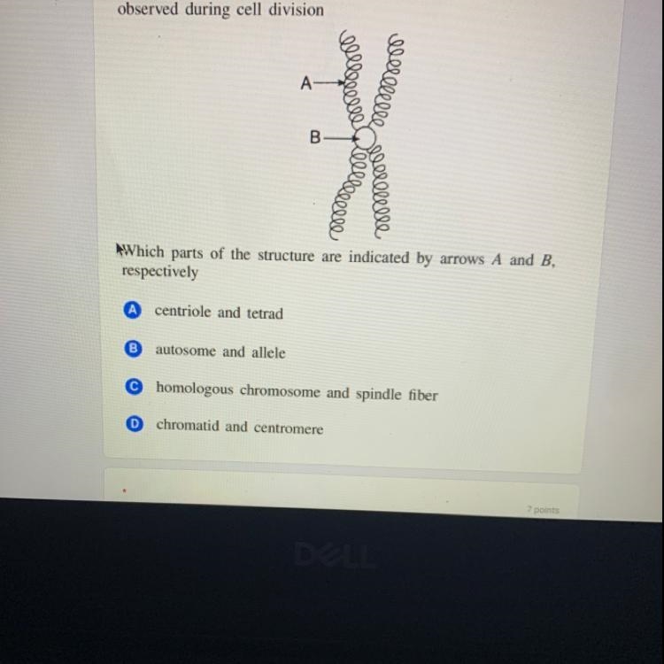 Can anyone help please ?-example-1