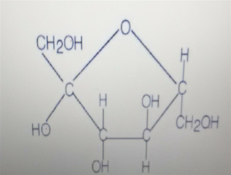 What compound is this? Carbohydrates Lipids Nucleic acids Proteins ​​​-example-1