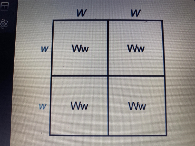 The Punnett square shows the possible genotype combinations of two parents who are-example-1