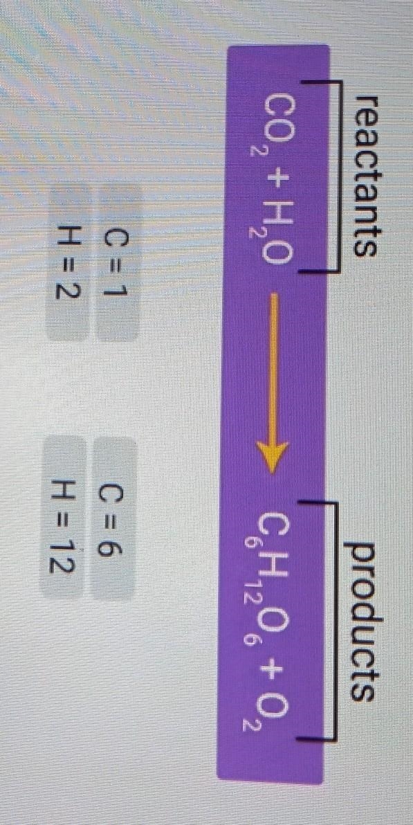 Balance this equation ​-example-1